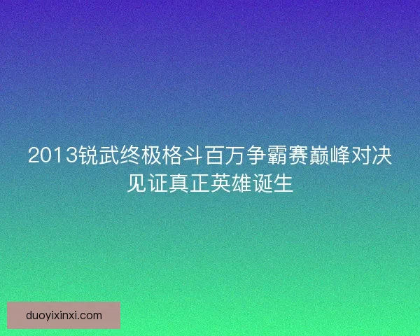 2013锐武终极格斗百万争霸赛巅峰对决见证真正英雄诞生